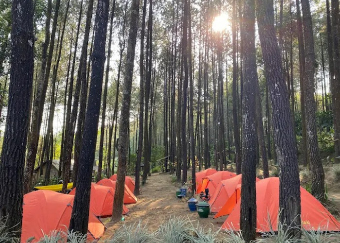 Camping di Lereng Semeru Mulai Rp5.000, Wana Wisata Winong Jadi Hidden Gem Baru Malang