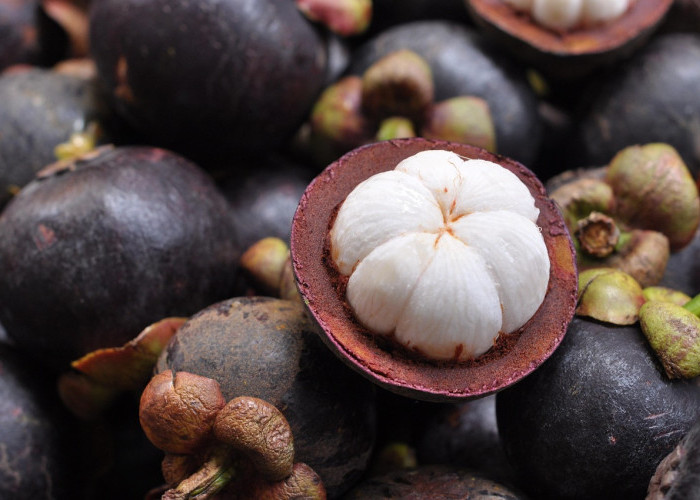 Bukan Durian, tapi Manggis yang Masuk Daftar Buah Terbaik Dunia 2025 Versi TasteAtlas