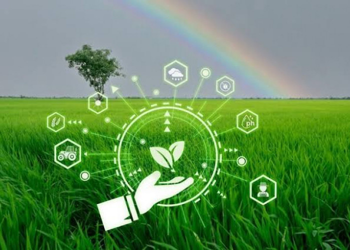 Pemerintah Fokuskan Prioritas Pengembangan AI untuk Dukung Ketahanan Pangan