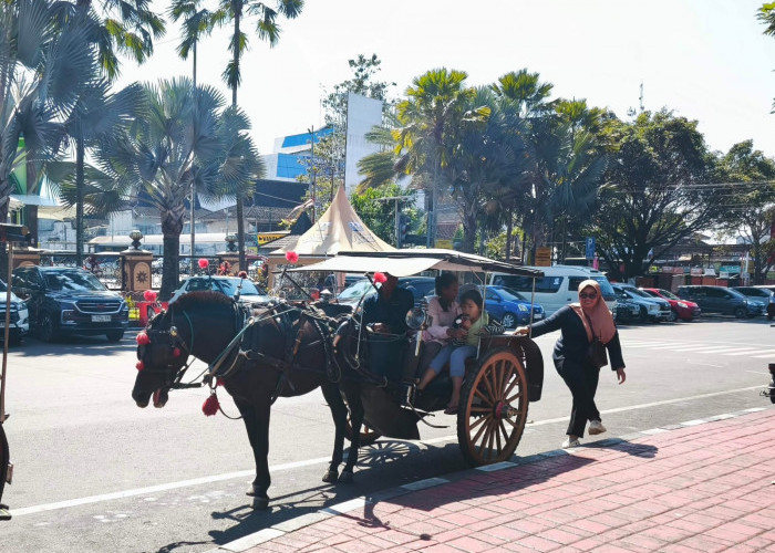 Dokar Wisata Alun-Alun Batu Tetap Eksis, Jadi Favorit Keluarga di Tengah Gempuran Wahana Modern