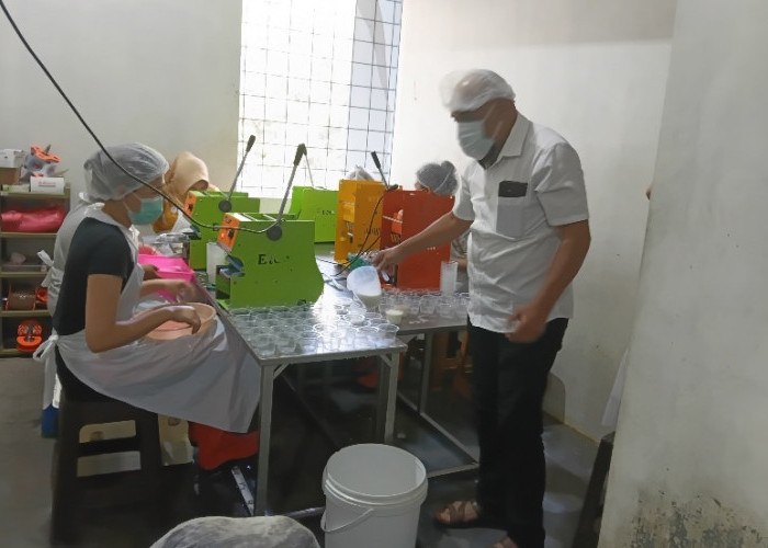 Peternakan Sapi Perah Dusun Brau Terus Berkembang, Pasok Hampir 10 Ribu Liter Susu per Hari untuk Industri-MBG