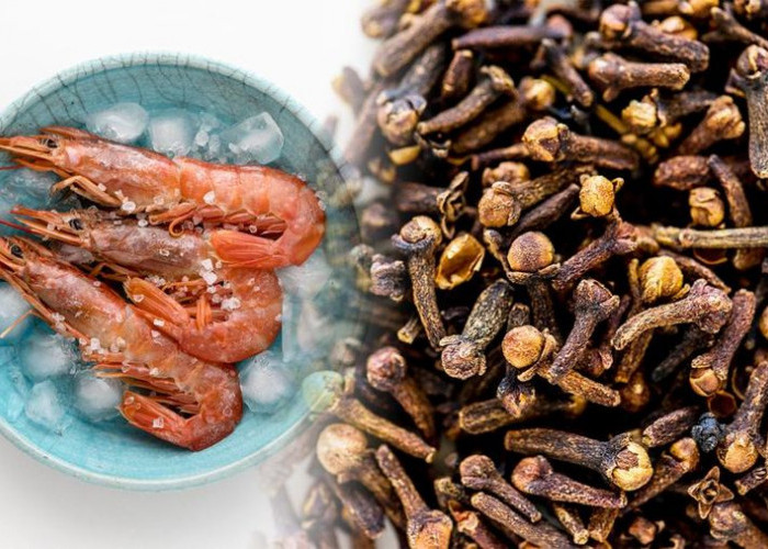 BPOM RI Duga Temuan Udang-Cengkeh Radioaktif oleh AS terkait 'Politik Dagang'