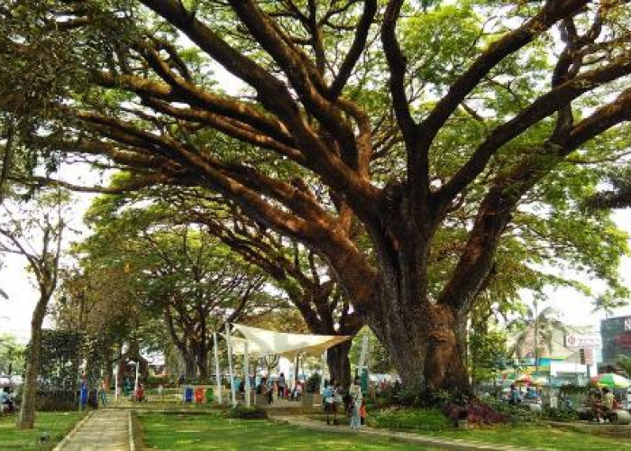 9 Pelesiran Hemat di Malang ala Mahasiswa yang Nggak Bikin Kantong Bolong