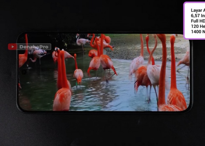 Harga Oppo Reno 12 F 5G Juli 2026 Turun Drastis, HP AMOLED 120 Hz dengan OIS Kini Makin Terjangkau