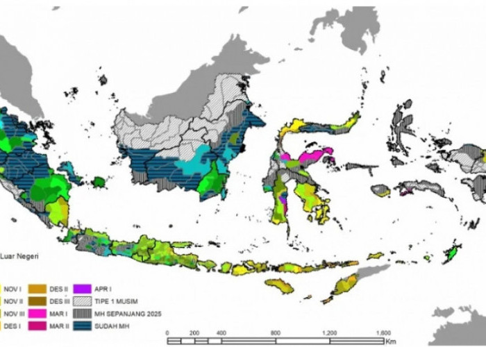 BMKG Peringatkan 16 Provinsi Berpotensi Hujan Hari Ini 23 September, 2 Wilayah Siaga