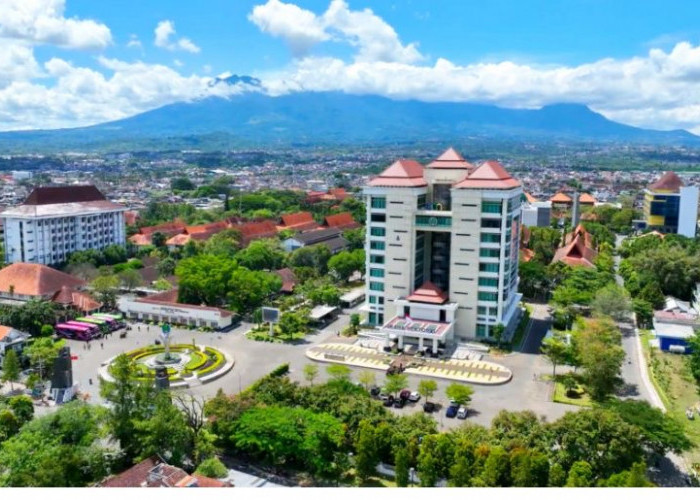 Universitas Negeri Malang Masuk 4 Besar Asia Bidang Pendidikan, Peringkat 1 Nasional