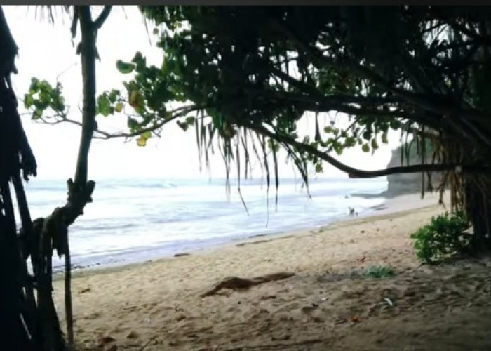 Panduan Akses Lengkap dan Rute Mudah Menuju Destinasi Wisata Pantai Ngudel