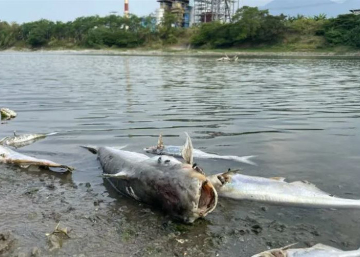 MA Tolak PK Menteri PU dan Gubernur Jatim dalam Kasus Sungai Brantas, Wajib Jalankan 10 Perintah Pemulihan