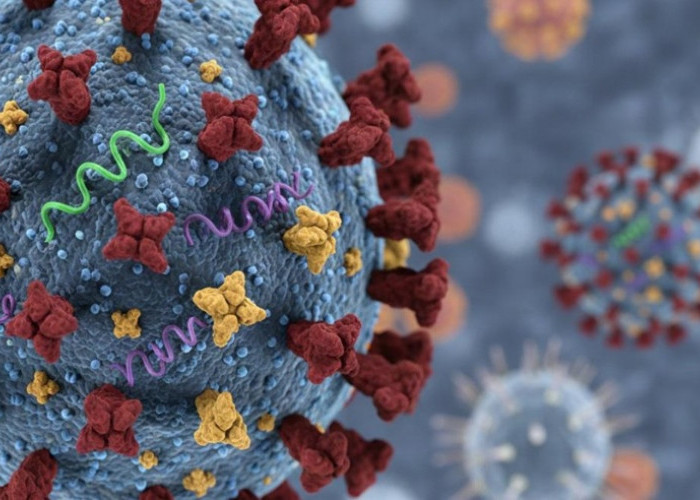 Super Flu di Jawa Timur Terbanyak! Dari 62 Kasus di Indonesia