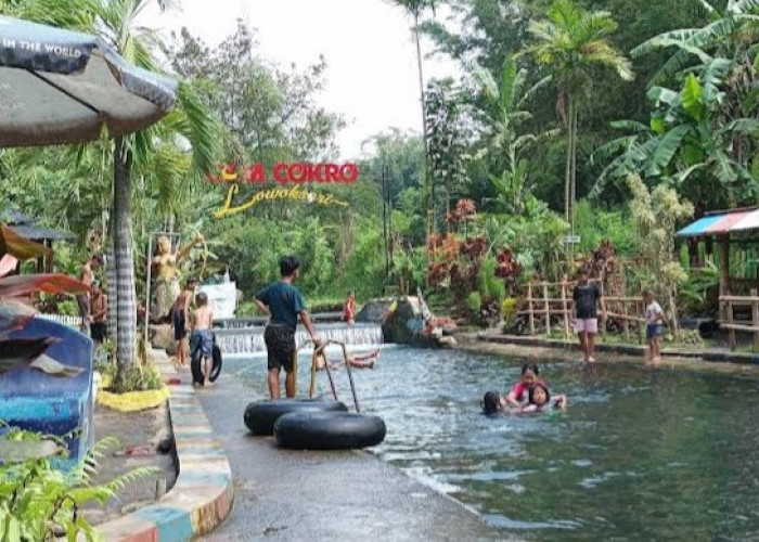 Wisata Air Dam Cokro Karangploso, Pemandian Alami HTM Seikhlasnya Dekat Exit Tol Singosari