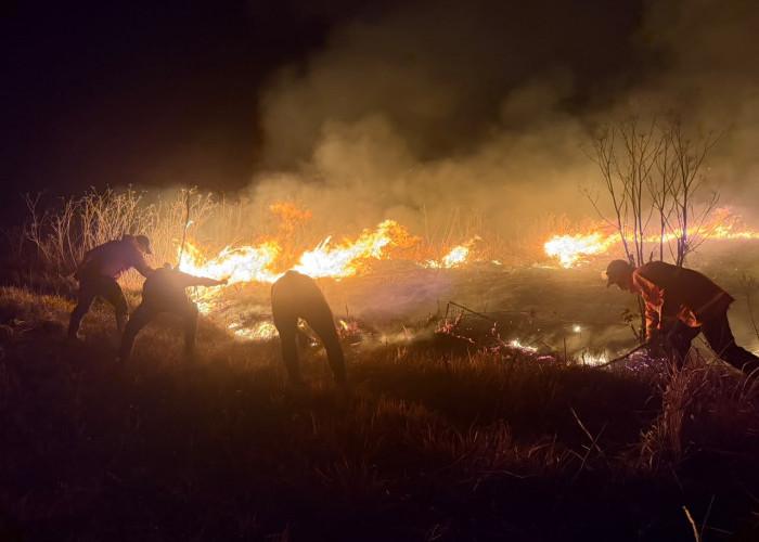 Kebakaran Bromo Berdampak ke Malang, Jemplang dan Coban Trisula Ditutup Total