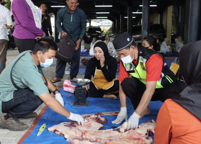 Peringati Idul Adha 1447 H, Polres Batu Sembelih dan Distribusikan 39 Hewan Kurban