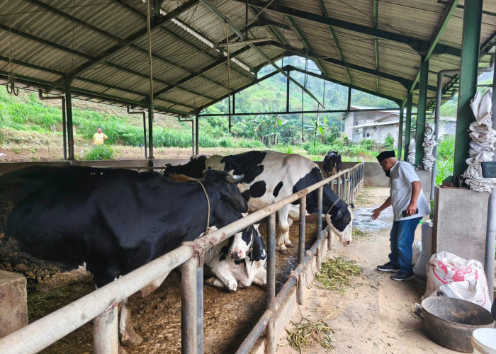 Target Vaksinasi PMK Kota Batu Melonjak Jadi 20.500 Dosis di 2026
