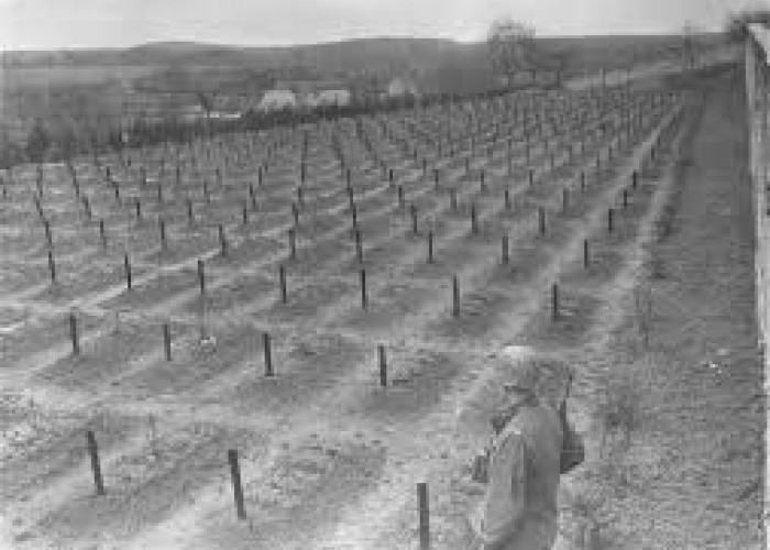 27 Januari Hari Holocaust Sedunia, Mengenang Tragedi Auschwitz 