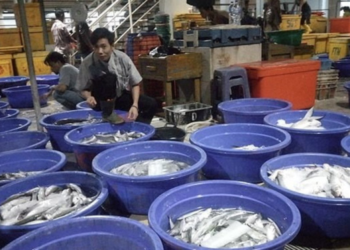 Tradisi Bakar-Bakaran Jelang Tahun Baru Dongkrak Omzet Pedagang di Kota Malang