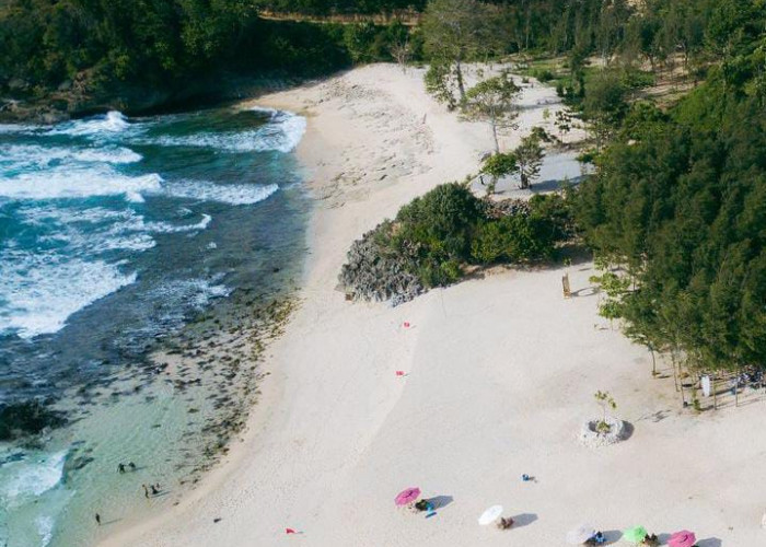 Travelling ke Malang , ada Pantai Setara Pantai di Bali, Ini Rute dan Perkiraan Ongkosnya