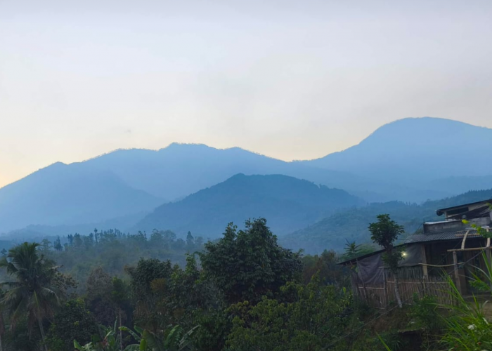 Cuaca Malang Raya 7 Agustus 2026: Kabut Tebal, Suhu Dingin, Waspadai Angin Kencang