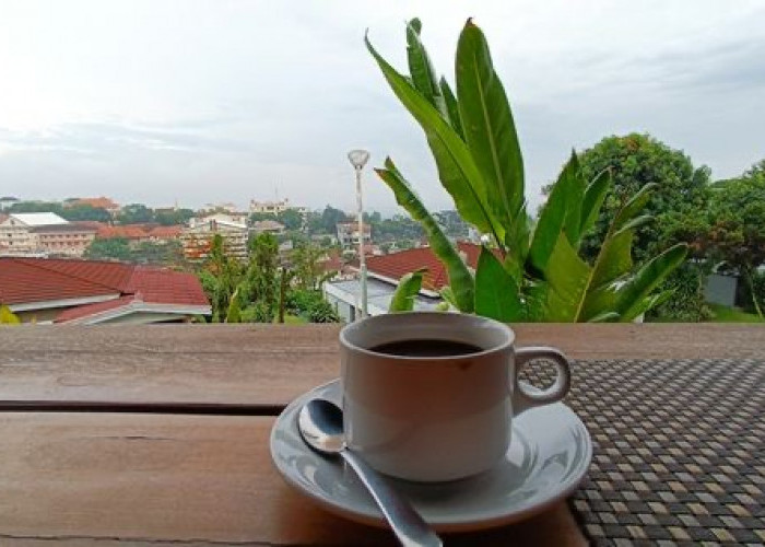 Tren “KOPAG” di Malang : 9 Rekomendasi Tempat Kopi Pagi di Ngalam, Ker!