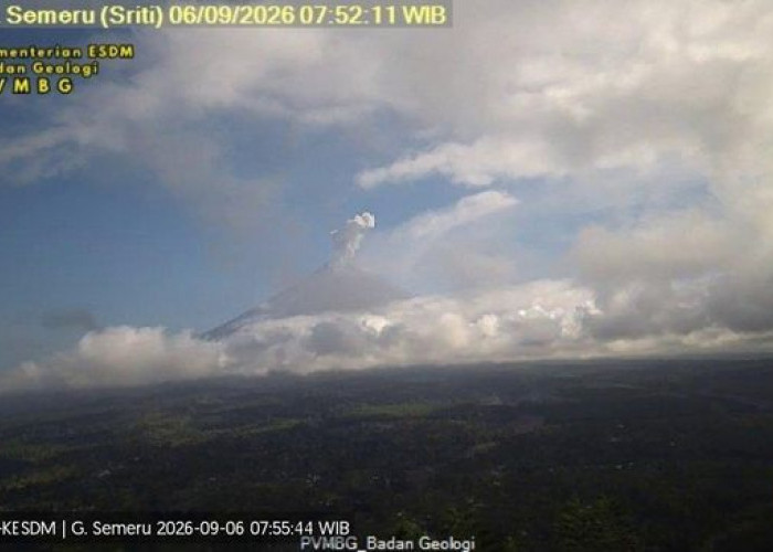 4 Gunung Api Erupsi Hari Ini 6 September 2026, Semeru di Perbatasan Malang Ikut Meletus