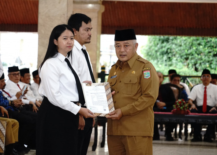 3.850 PPPK Kabupaten Malang Formasi Tahun 2024 Diserahkan 