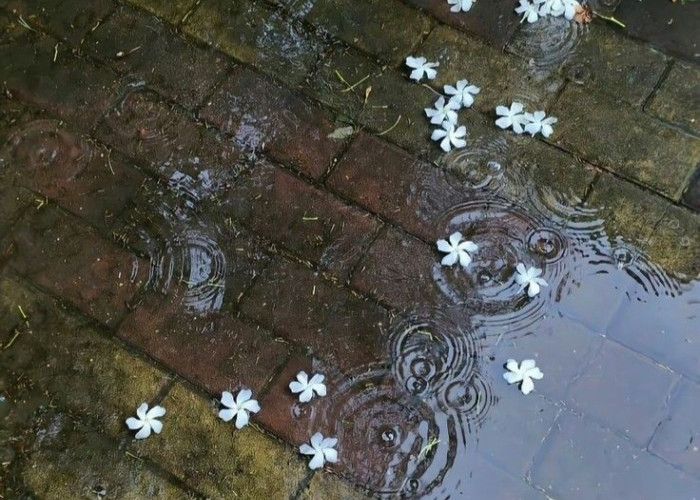 Malang Hari ini, Mendung Nyaris Seharian, Diselingi Hujan Siang-Sore