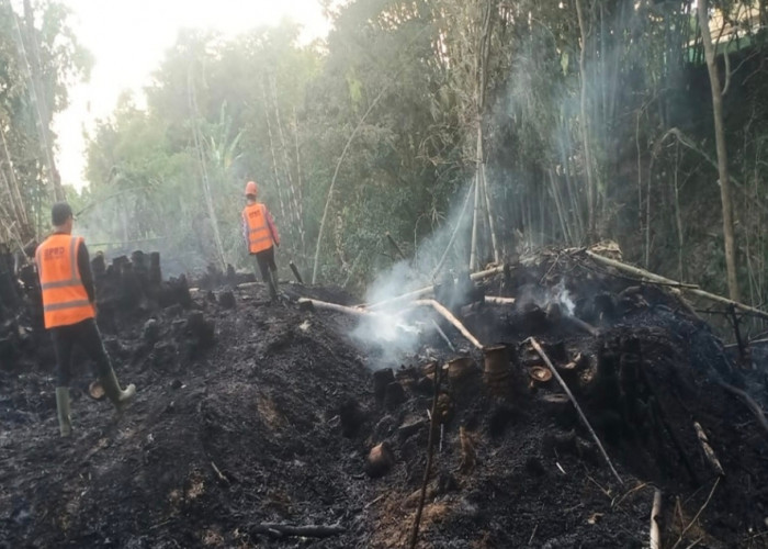 Karhutla Mengintai Kota Batu, Puntung Rokok dan Api Unggun Jadi Ancaman Serius