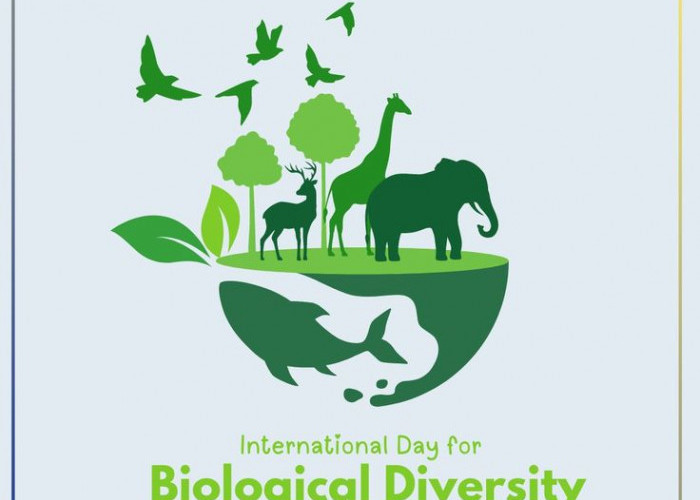 Momen Hari Keanekaragaman Hayati, Saatnya Pikirkan Ruang Bangunan Juga untuk Kepentingan Makhluk Hidup Lain! 