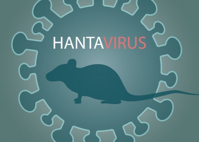 Dinkes Kota Malang Ingatkan Risiko Hantavirus saat Bersihkan Gorong-Gorong, Warga Diminta Pakai APD