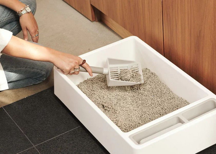 9 Rekomendasi Pasir buat Anabul di Rumah