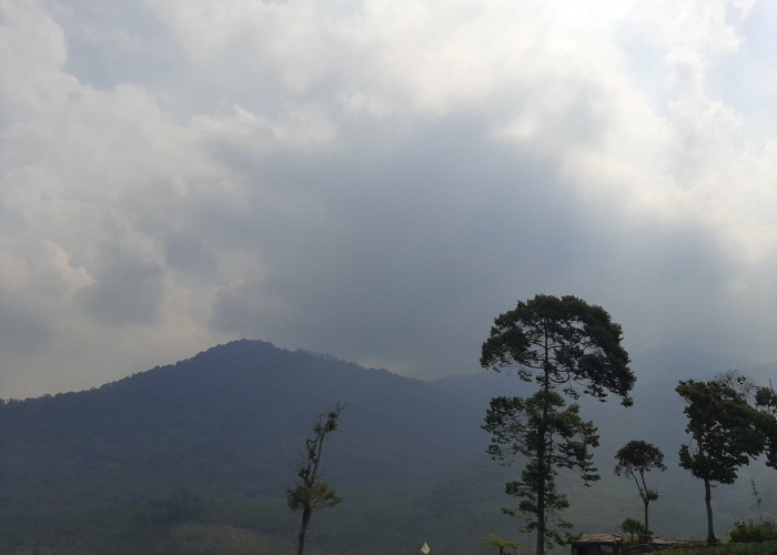 Cuaca Malang Raya Hari Ini 18 Agustus 2026: Malang Cerah Berawan, Batu Berkabut, Gelombang Selatan Capai 2,6 M