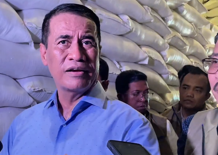 Hadapi El Nino 'Godzilla', Pemerintah Jamin Stok Pangan Aman, Cadangan Beras Melimpah hingga 2027