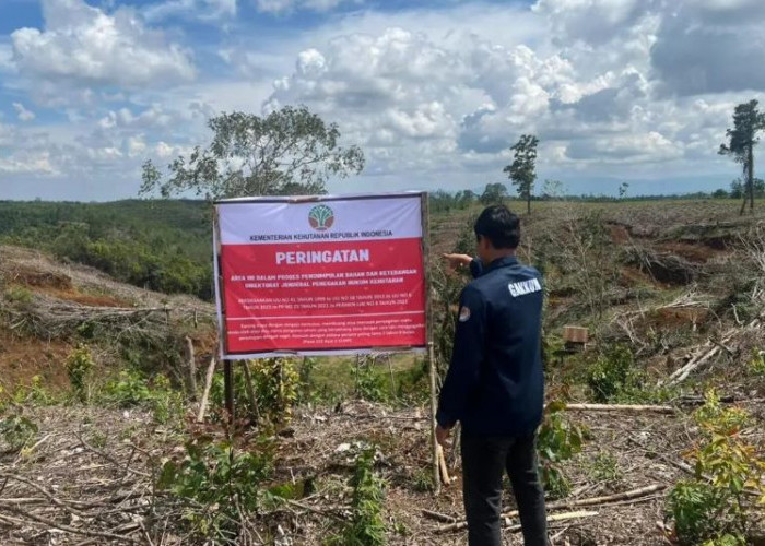 Disegel Kemenhut! 5 Lahan yang Diduga Tempat Pembalakan Liar Picu Banjir Sumatera
