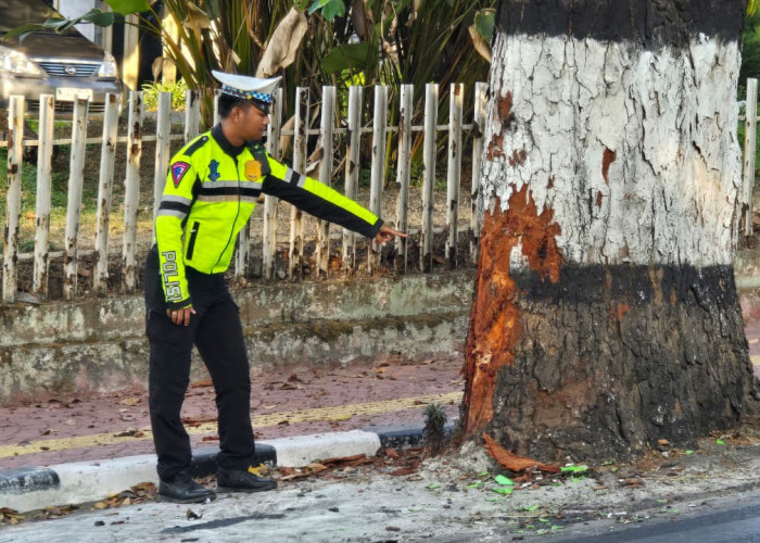 Kecelakaan Maut di Junrejo Batu, Pemotor Tewas usai Hantam Pohon