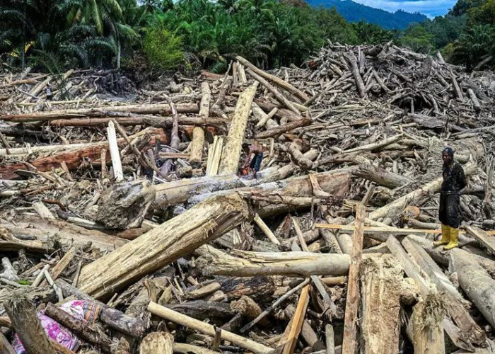 Sisir Anggaran 'Tak Jelas' Kementerian, Pemerintah Alokasikan Rp60 T dari APBN untuk Bencana Sumatera