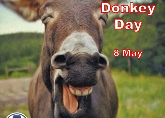 8 Mei Juga Hari Keledail Sering Dianggap Binatang Bodoh dalam Budaya Populer, Benarkah?