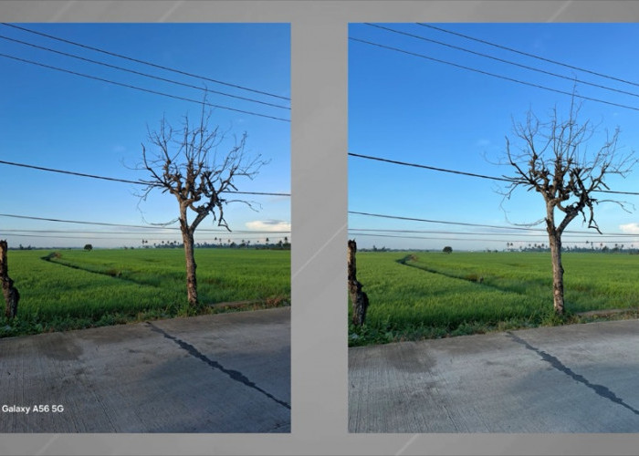 Samsung Galaxy A56 vs iPhone 13, Adu Kamera Bikin Kaget! Foto Low Light A56 Unggul Telak, Tapi Video iPhone 13