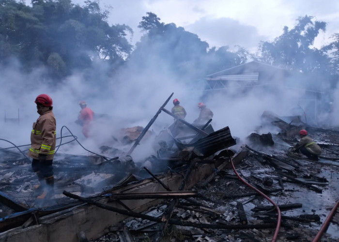 Kebakaran Kandang Ayam di Oro-Oro Ombo, 15.000 Ayam Pedaging Gosong, Kerugian Rp1 M 