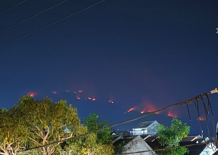 Karhutla Gunung Arjuno Belum Padam, Tim Gabungan Terus Upayakan Pemadaman Manual