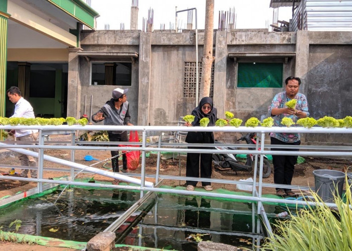 UM Terapkan Aquaponik Berbasis IoT di Pesantren Mambaul Abyad, Santri Dilatih Kelola Produksi Pangan