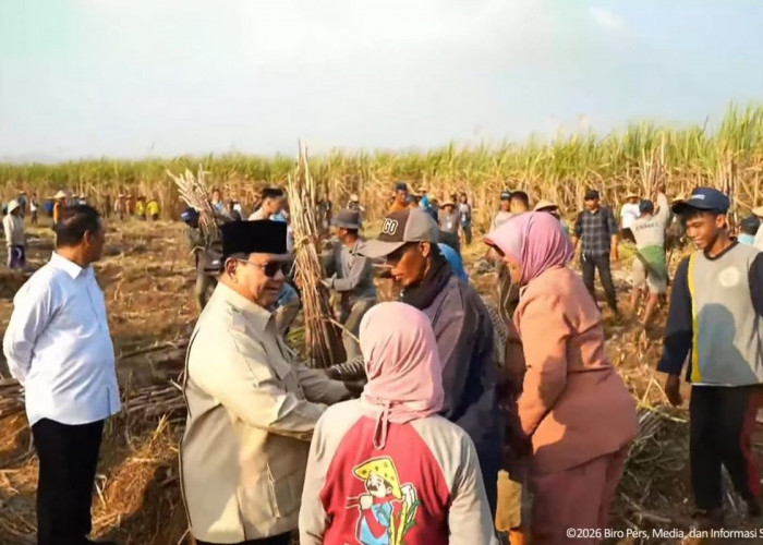 Prabowo Bersama TNI Hadiri Panen Raya Tebu di Malang, Sempat Sapa dan Salami Petani 