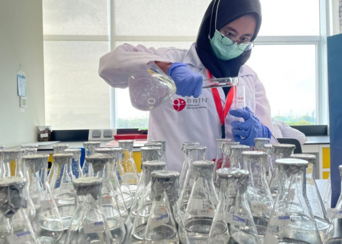 Mahasiswi Pascasarjana UB Teliti Mikroplastik Biodegradable, Temuan Terbit di Jurnal Q1