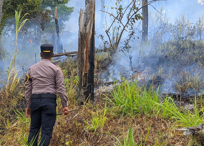 600 Meter Persegi Lahan Terbakar, Api Gunung Panderman Batu Berhasil Dipadamkan