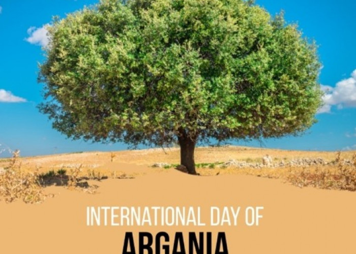 10 Mei Juga Hari Minyak Argan, Kenali 9 Manfaatnya bagi Kesehatan dan Kecantikan