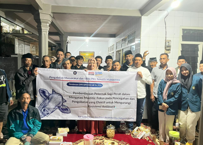FKH UB Perkuat Ketahanan Pangan Lewat Pendampingan Kelompok Sapi Perah Sumber Rejeki, Selaras dengan SDGs