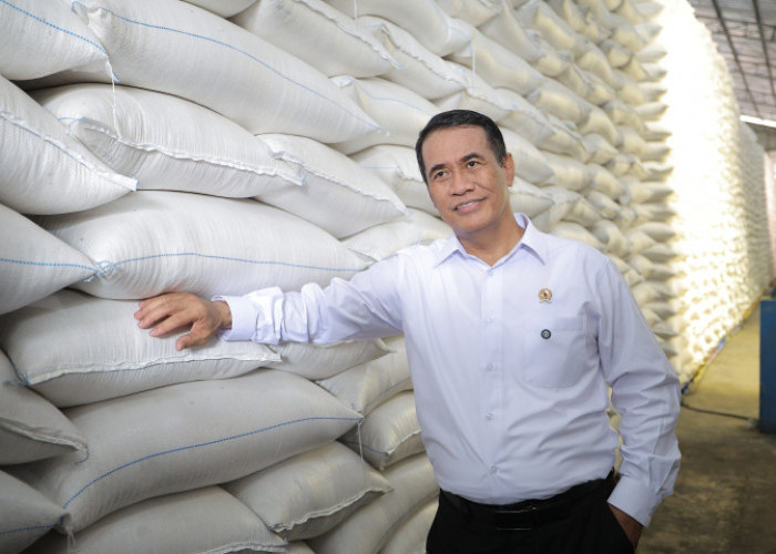 Rekor Baru! Stok Beras RI Tembus 5 Juta Ton, Tertinggi Sepanjang Sejarah di Bulan April