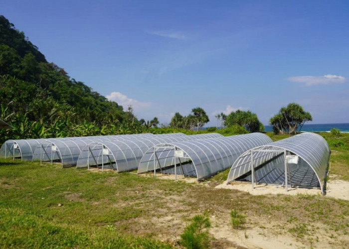 Produksi Garam Tunnel di Pantai Modangan Didorong Jadi Garam Industri, Target 100 Ton per Bulan