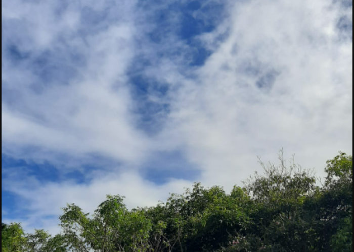 Cuaca Malang Raya 12 Maret: Dominan Cerah dan Berawan, BMKG Peringatkan Potensi Hujan Sedang-Lebat di Jatim