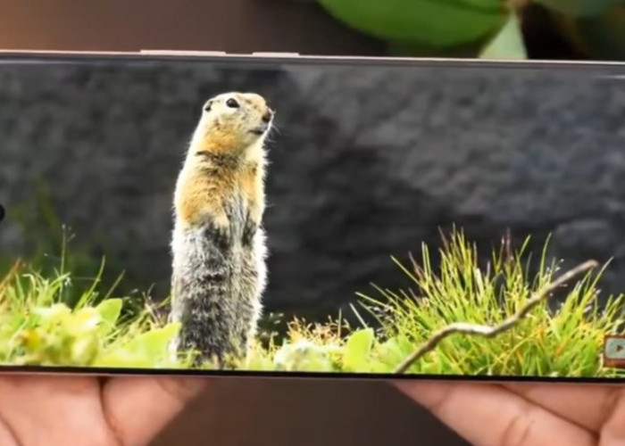 6 HP Realme Terbaru 2026 Resmi di Indonesia, Baterai 7000 mAh dan Tahan Air IP69