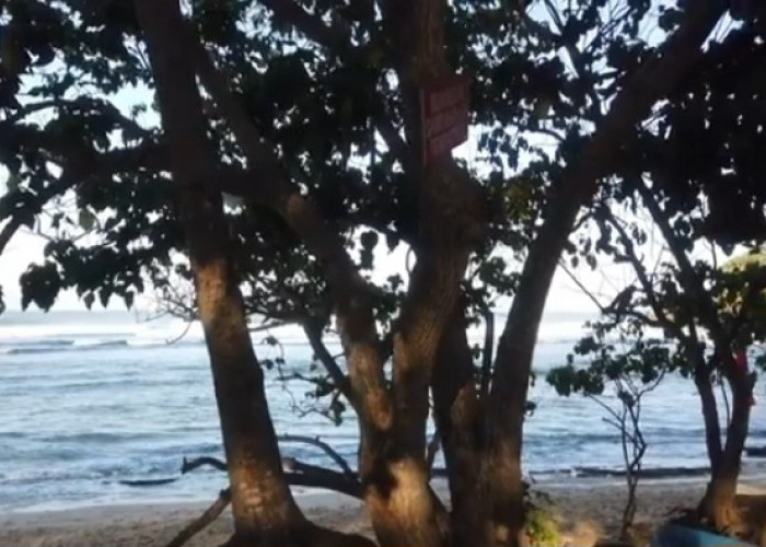 Dua Wajah Memikat Pantai Tanjung Penyu: Berburu Sunrise dan Sunset dalam Satu Destinasi