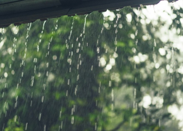 Cuaca Malang Raya 15 Februari: Dominan Hujan Ringan-Sedang, Tiupan Angin Aman, termasuk di Malang Selatan